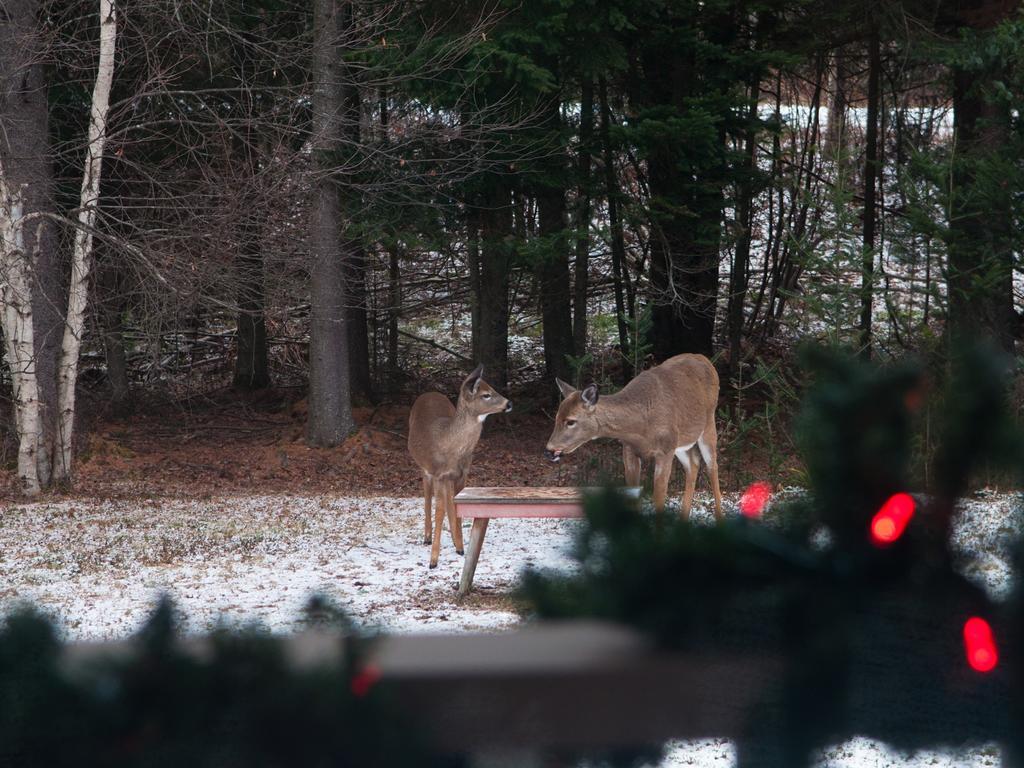 Gite Crystal Inn Mont-Tremblant Esterno foto